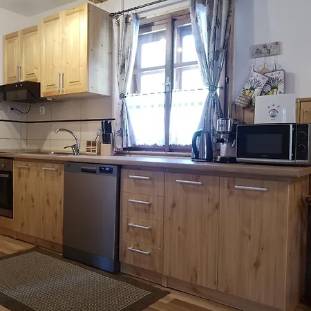 Iva אוסקדניצה